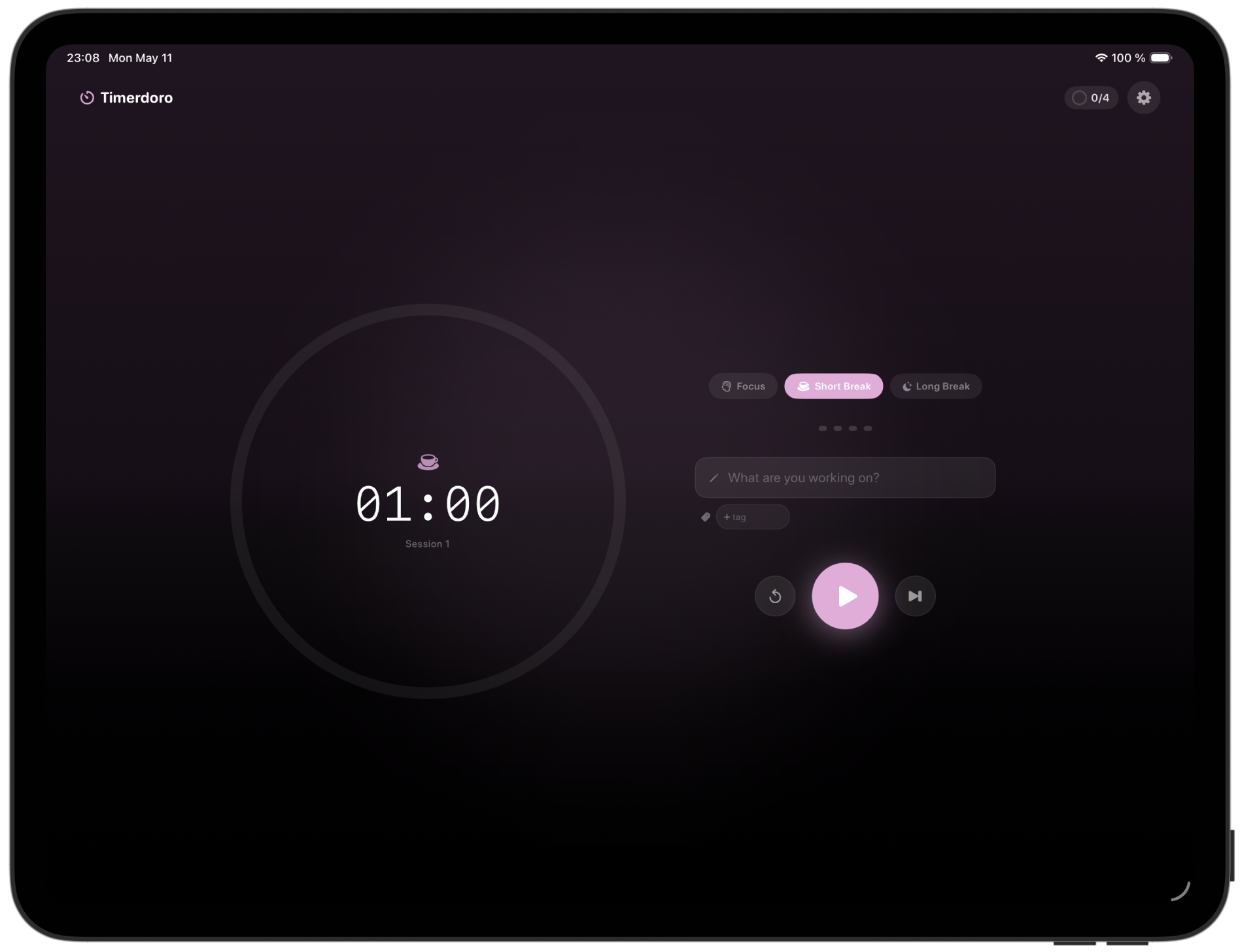 Timerdoro on iPad — split layout with timer and controls